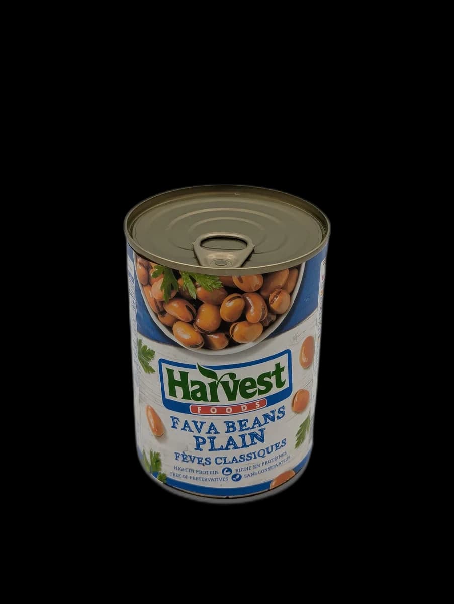 fava-beans-plain