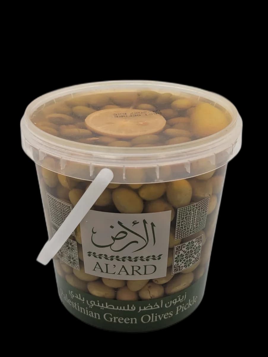 زيتون أخضر فلسطيني بلدي